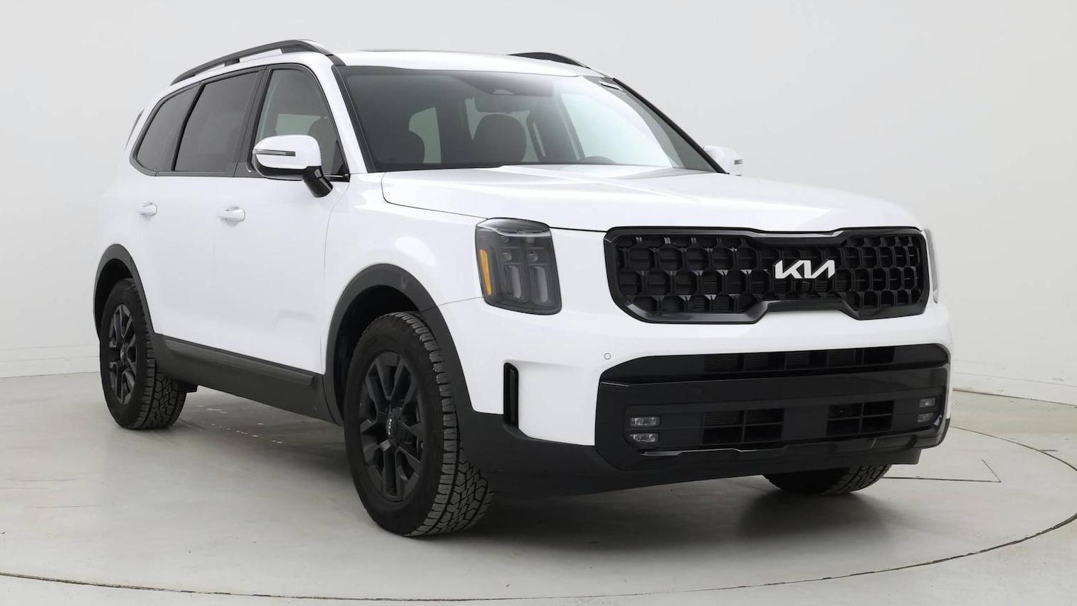 KIA TELLURIDE 2024 5XYP5DGC5RG427303 image