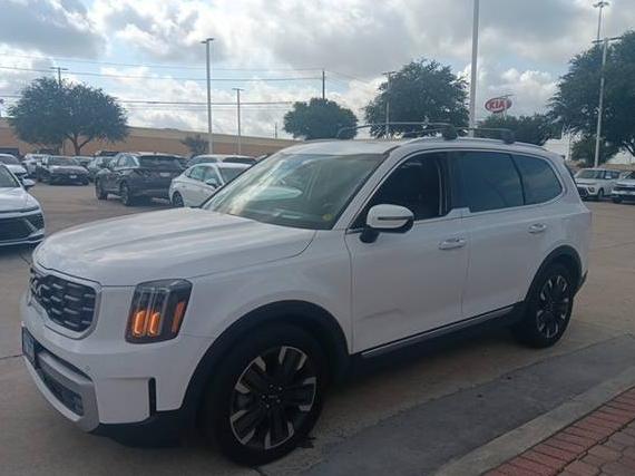 KIA TELLURIDE 2024 5XYP5DGC6RG453389 image
