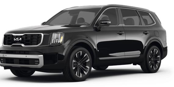 KIA TELLURIDE 2024 5XYP5DGC3RG504556 image