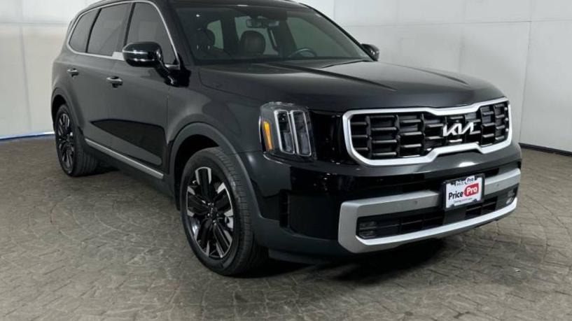 KIA TELLURIDE 2024 5XYP5DGC0RG447748 image