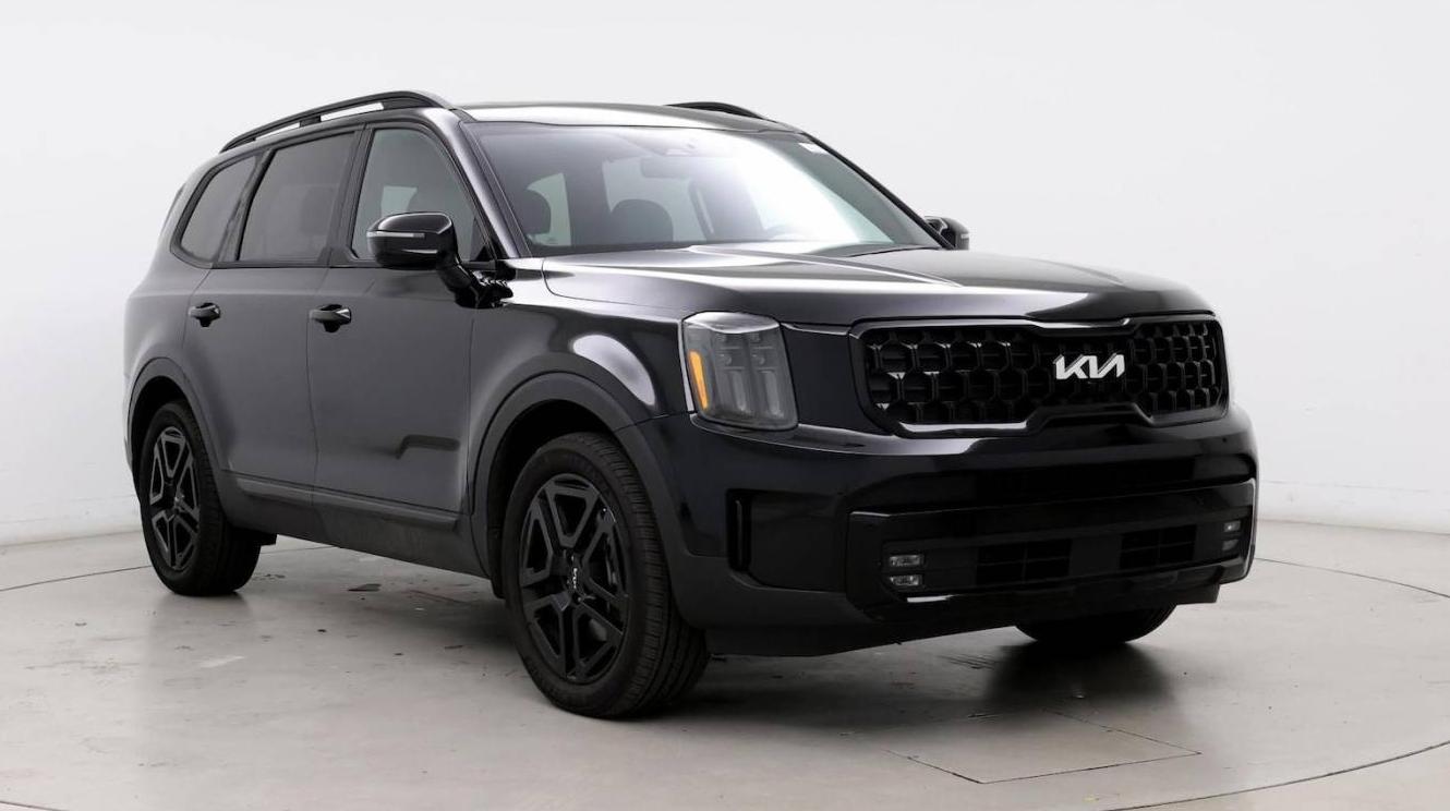 KIA TELLURIDE 2024 5XYP5DGC5RG441363 image