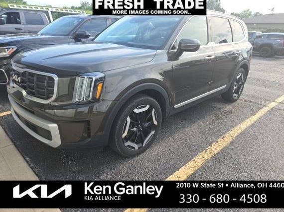 KIA TELLURIDE 2024 5XYP64GC2RG431497 image
