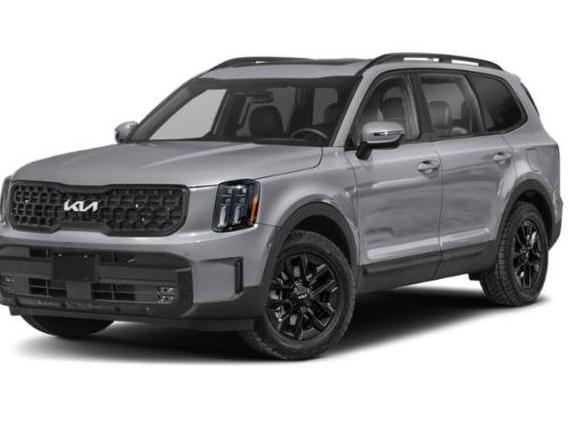 KIA TELLURIDE 2024 5XYP5DGC8RG488337 image