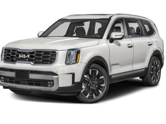 KIA TELLURIDE 2024 5XYP5DGC3RG416784 image