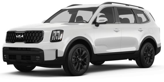 KIA TELLURIDE 2024 5XYP5DGC2RG419062 image