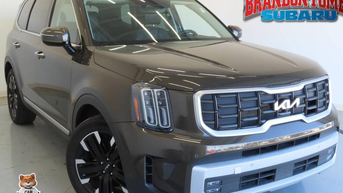 KIA TELLURIDE 2024 5XYP5DGC8RG424752 image