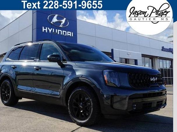 KIA TELLURIDE 2024 5XYP5DGC5RG435515 image