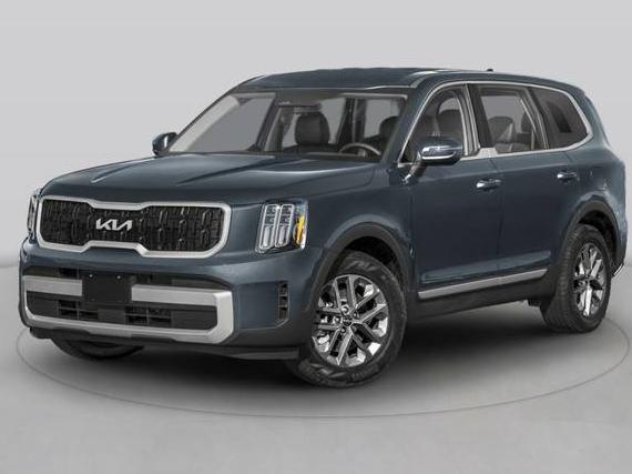 KIA TELLURIDE 2024 5XYP5DGC6RG515406 image
