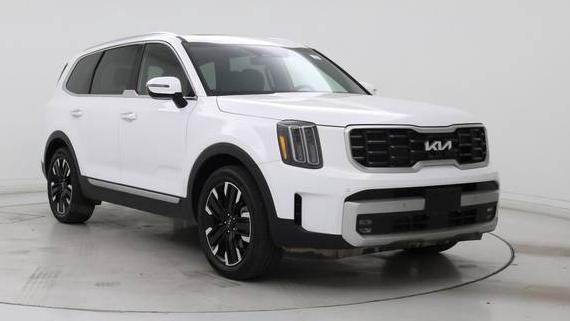 KIA TELLURIDE 2024 5XYP5DGC8RG511423 image