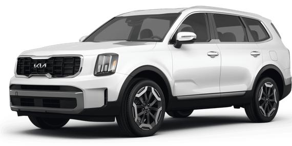 KIA TELLURIDE 2024 5XYP6DGC0RG425004 image