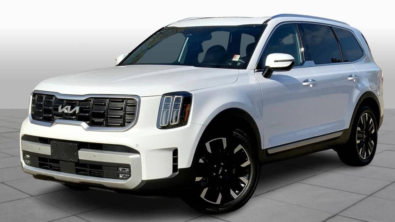 KIA TELLURIDE 2024 5XYP5DGC9RG425019 image