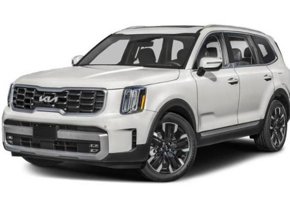 KIA TELLURIDE 2024 5XYP5DGC1RG465983 image
