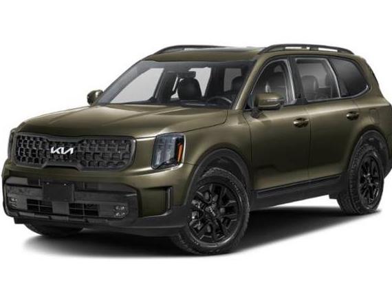 KIA TELLURIDE 2024 5XYP5DGC5RG502680 image