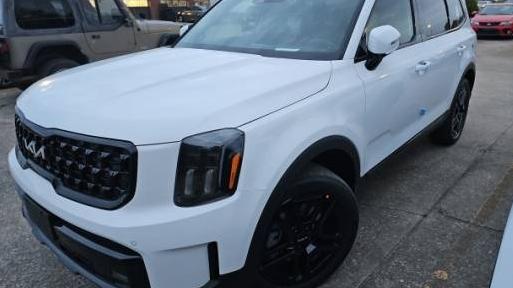 KIA TELLURIDE 2024 5XYP5DGC2RG457097 image