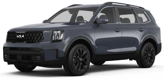 KIA TELLURIDE 2024 5XYP5DGC8RG428137 image