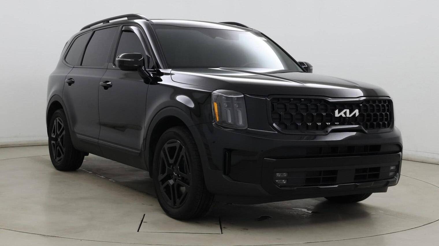 KIA TELLURIDE 2024 5XYP5DGC9RG460465 image