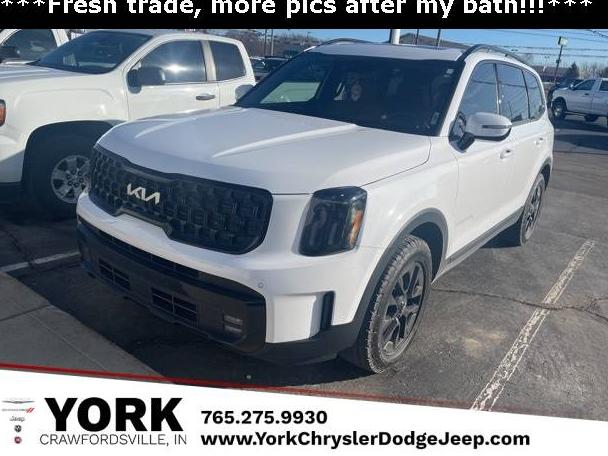 KIA TELLURIDE 2024 5XYP5DGC0RG455607 image