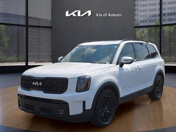 KIA TELLURIDE 2024 5XYP5DGC6RG417914 image