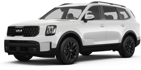 KIA TELLURIDE 2024 5XYP5DGC3RG478640 image
