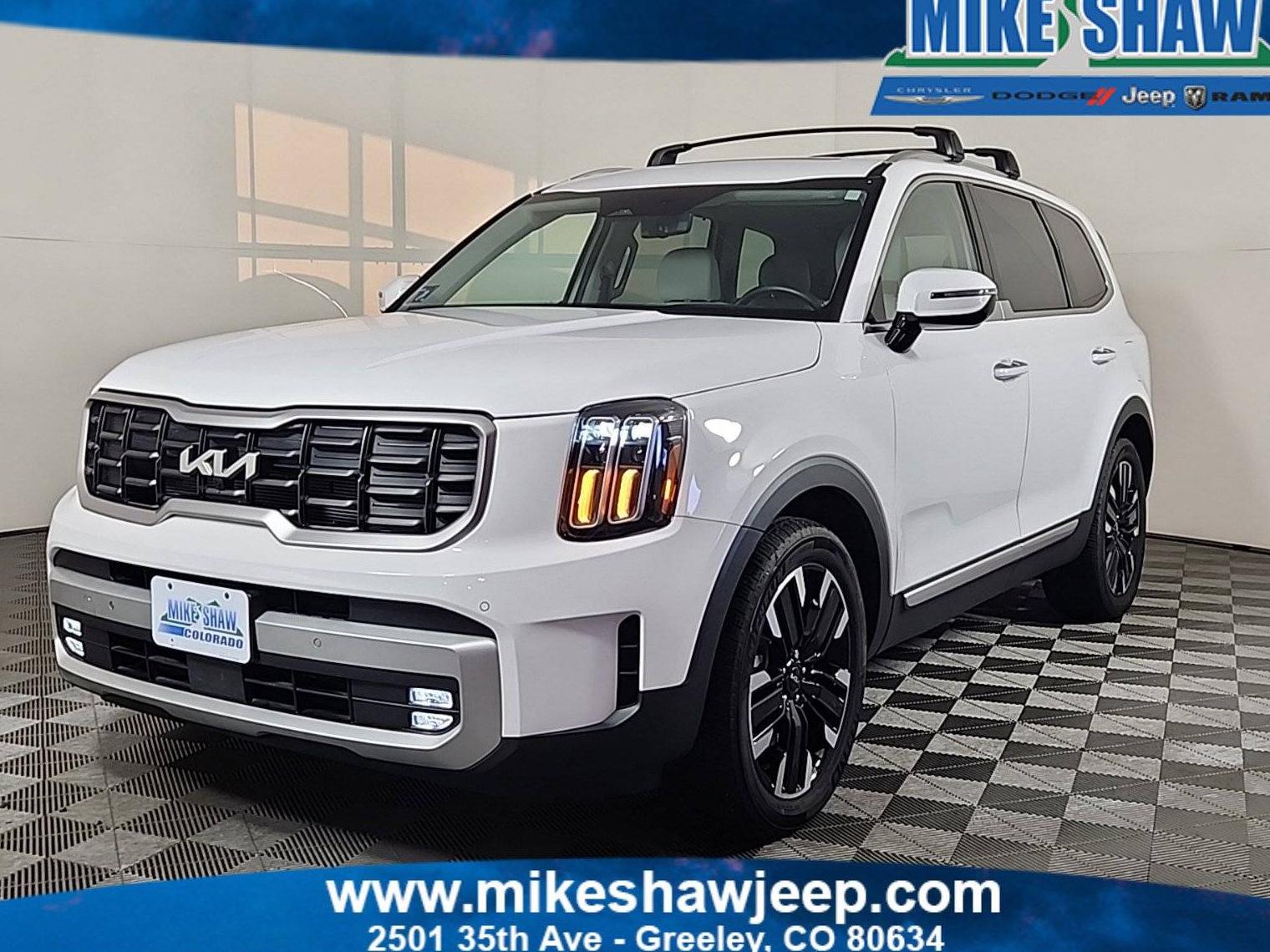 KIA TELLURIDE 2024 5XYP5DGC6RG437080 image