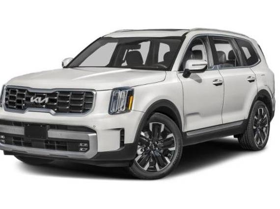 KIA TELLURIDE 2024 5XYP5DGC6RG456566 image