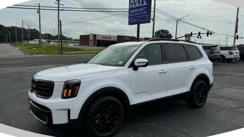 KIA TELLURIDE 2024 5XYP5DGC5RG471723 image