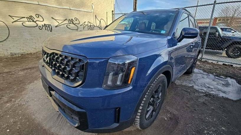 KIA TELLURIDE 2024 5XYP5DGC1RG428481 image