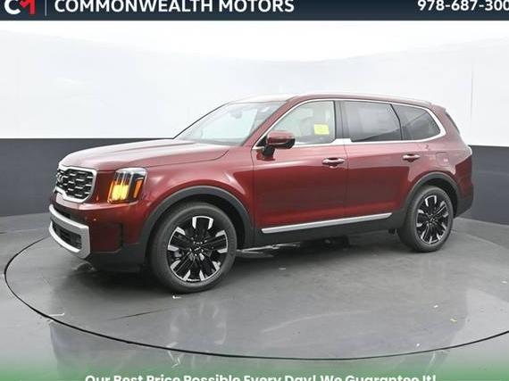 KIA TELLURIDE 2024 5XYP5DGC1RG556607 image