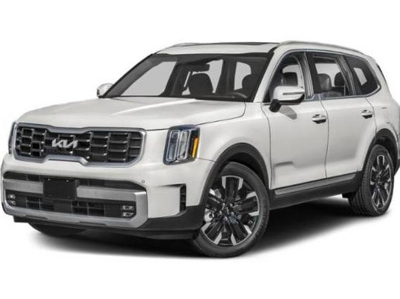 KIA TELLURIDE 2024 5XYP5DGC0RG451900 image