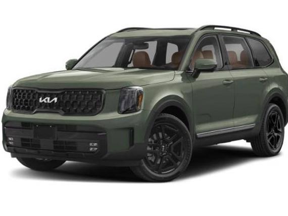 KIA TELLURIDE 2024 5XYP5DGC1RG456636 image