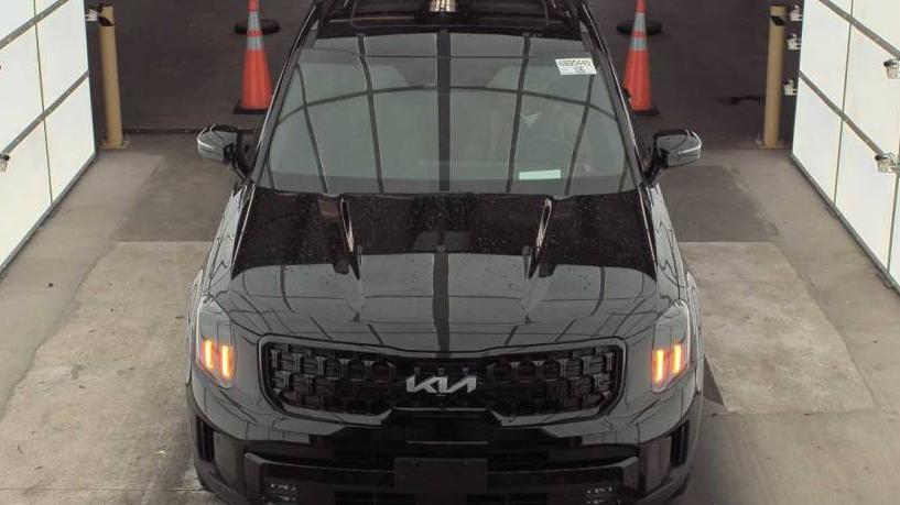 KIA TELLURIDE 2024 5XYP5DGC6RG504549 image