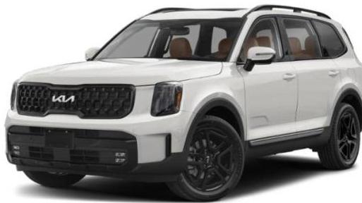 KIA TELLURIDE 2024 5XYP5DGC0RG459950 image