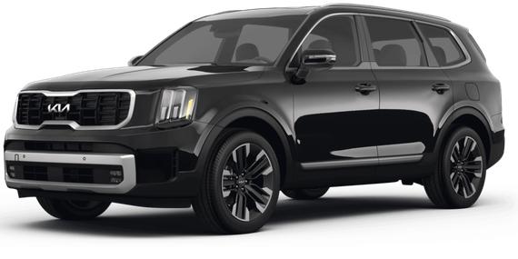 KIA TELLURIDE 2024 5XYP5DGC4RG416583 image