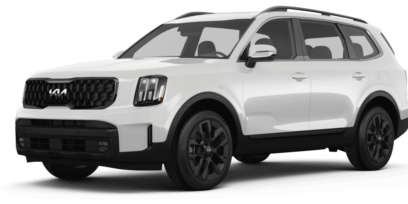 KIA TELLURIDE 2024 5XYP5DGC9RG440183 image