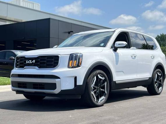 KIA TELLURIDE 2024 5XYP6DGC2RG537142 image