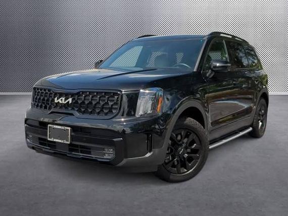 KIA TELLURIDE 2024 5XYP5DGC6RG497392 image