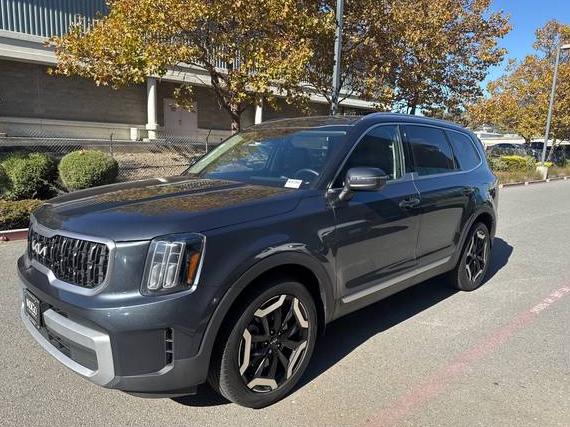 KIA TELLURIDE 2024 5XYP34GC3RG413969 image KIA TELLURIDE 2024 5XYP34GC3RG413969 image