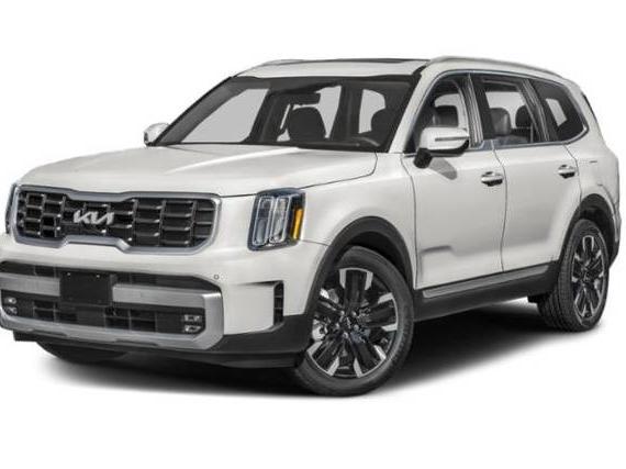 KIA TELLURIDE 2024 5XYP5DGC8RG414402 image