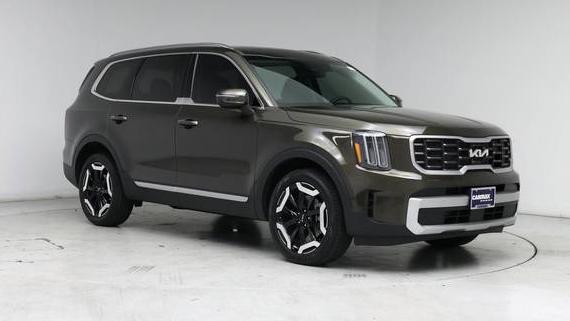 KIA TELLURIDE 2024 5XYP6DGCXRG490619 image