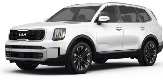 KIA TELLURIDE 2024 5XYP5DGC0RG435504 image