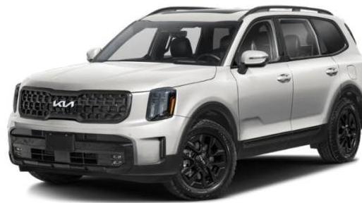 KIA TELLURIDE 2024 5XYP5DGC3RG452720 image