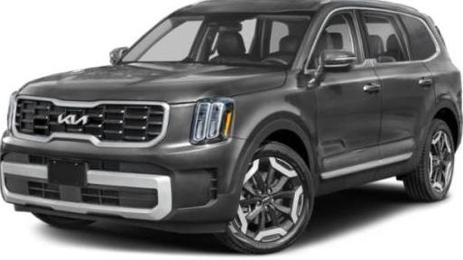 KIA TELLURIDE 2024 5XYP64GC5RG528662 image