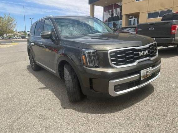 KIA TELLURIDE 2024 5XYP54GC2RG429347 image