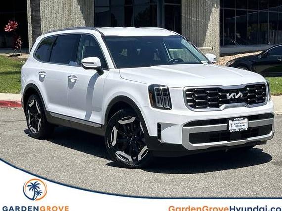 KIA TELLURIDE 2024 5XYP64GC8RG494474 image