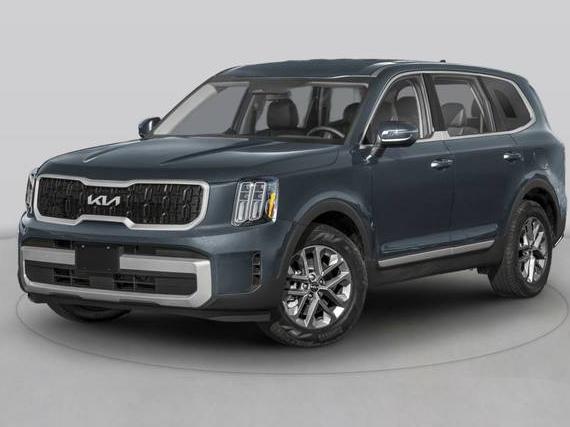 KIA TELLURIDE 2024 5XYP5DGC4RG430905 image