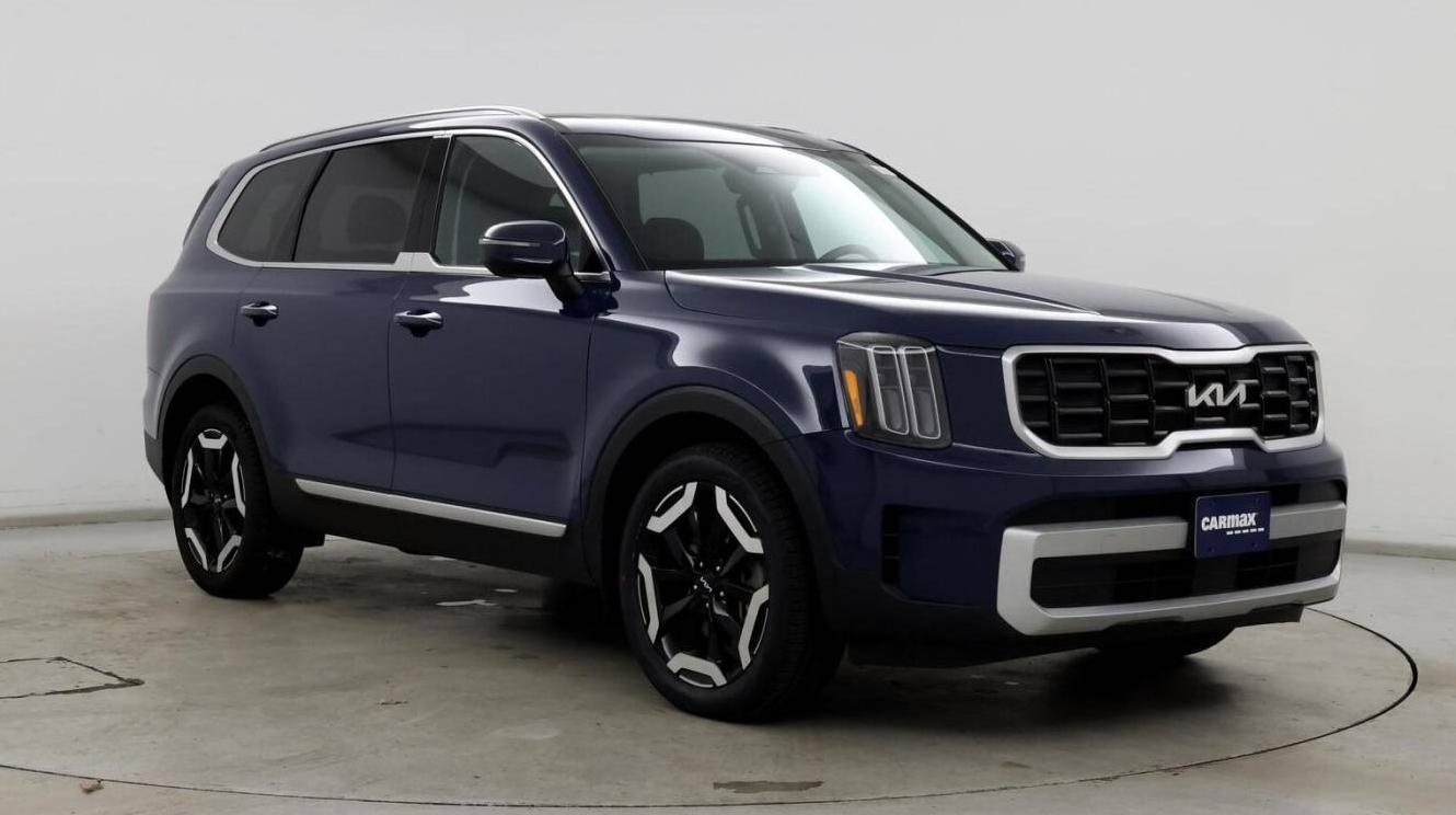 KIA TELLURIDE 2024 5XYP6DGC3RG489120 image