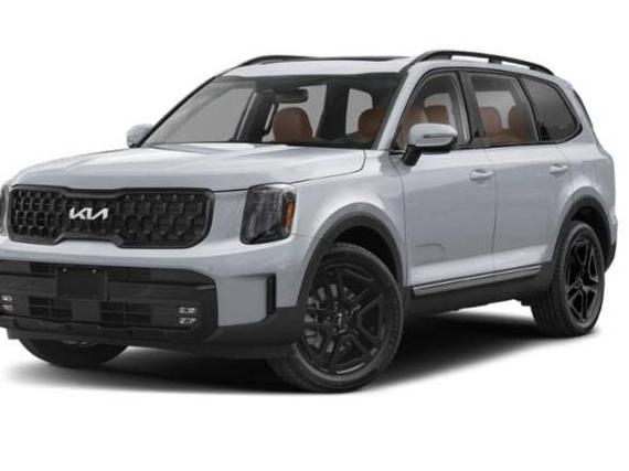 KIA TELLURIDE 2024 5XYP5DGCXRG561269 image
