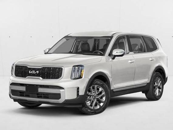 KIA TELLURIDE 2024 5XYP24GCXRG424504 image