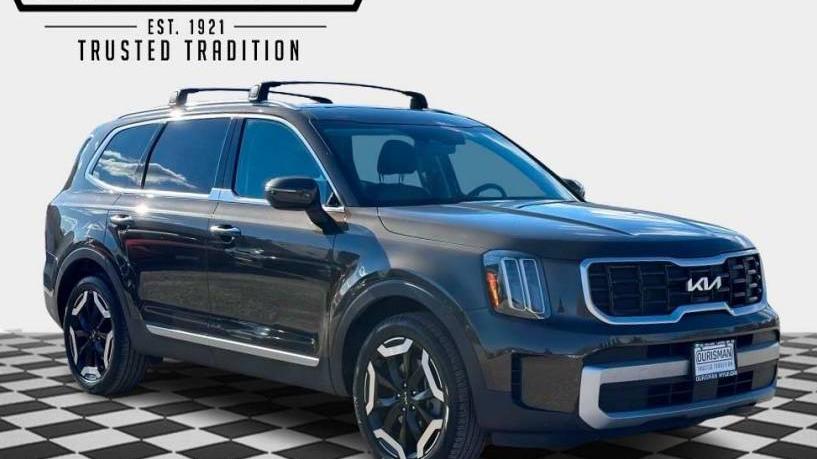 KIA TELLURIDE 2024 5XYP6DGC2RG441124 image