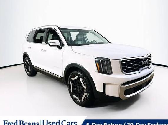 KIA TELLURIDE 2024 5XYP6DGC7RG442317 image